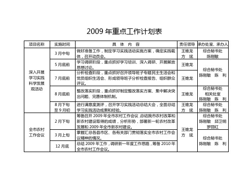 2009年重点工作计划表