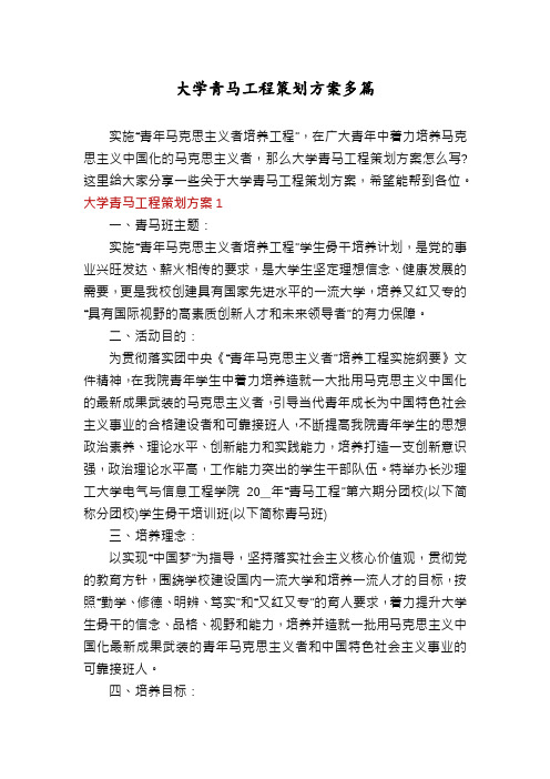 大学青马工程策划方案多篇