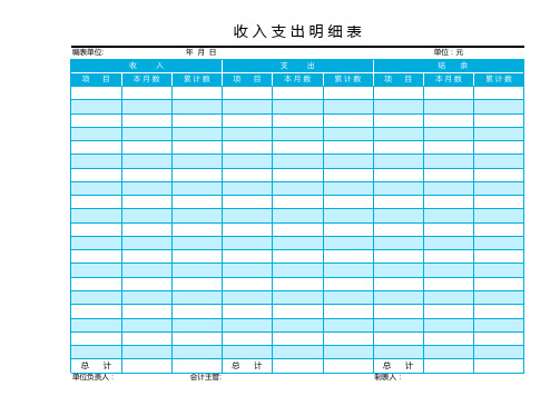 收入支出明细表