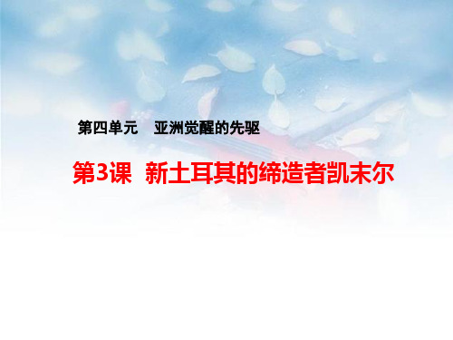 人教版高中历史选修4优质课件2:第3课 新土耳其的缔造者凯末尔