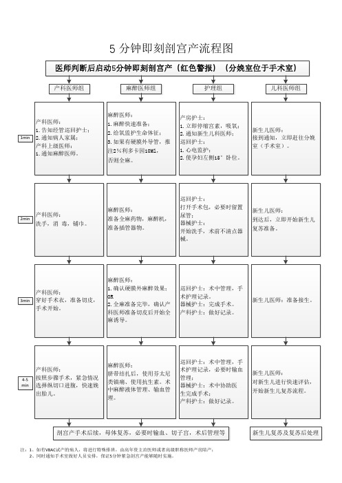 5分钟剖宫产流程图