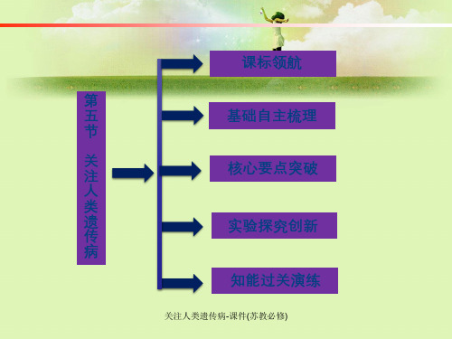 关注人类遗传病-课件(苏教必修)