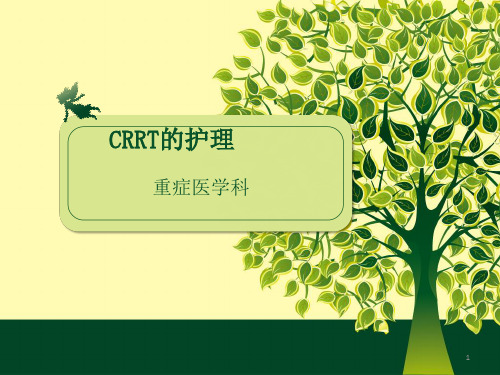 CRRT的护理