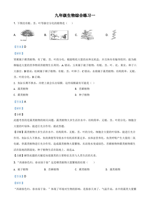 九年级生物综合练习一(解析版)