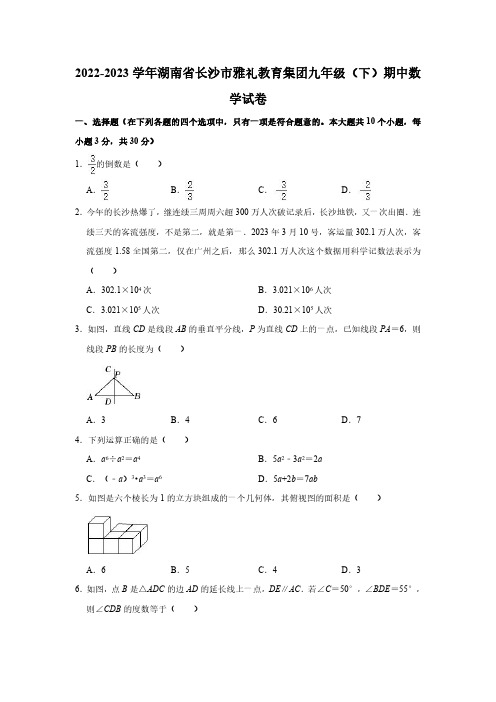 2022-2023学年湖南省长沙市雅礼教育集团九年级(下)期中数学试卷(含解析)