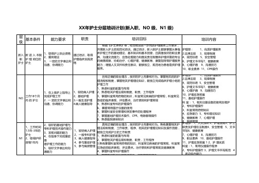 护士分层培训计划