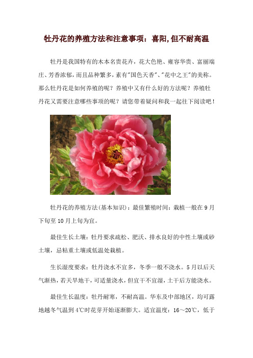 牡丹花的养殖方法和注意事项：喜阳,但不耐高温