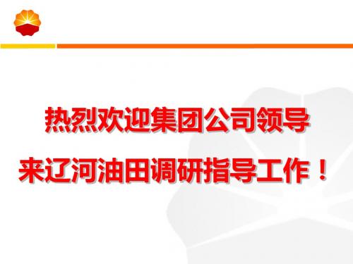 辽河油田ERP项目汇报 共73页PPT资料