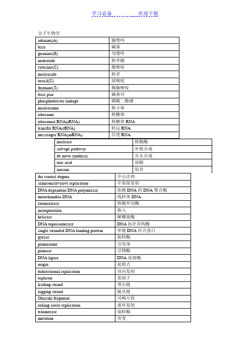 生物化学与分子生物学名词中英文对照表