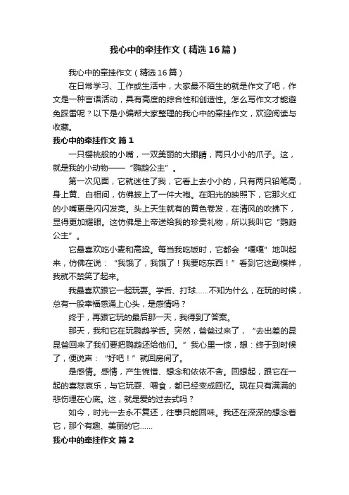 我心中的牵挂作文（精选16篇）