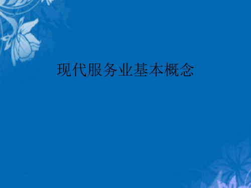 现代服务业的基本概念(ppt 34页)