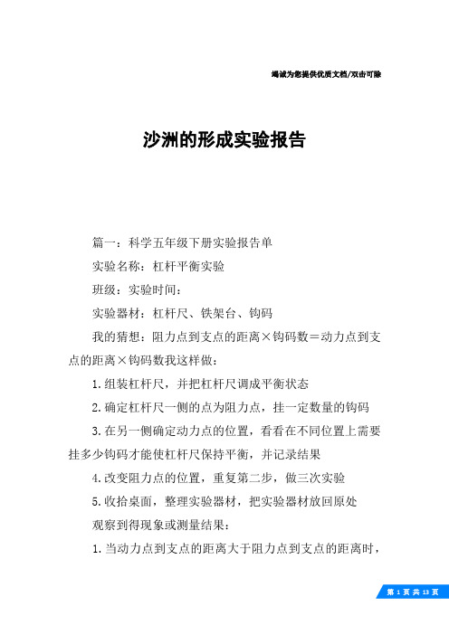 沙洲的形成实验报告