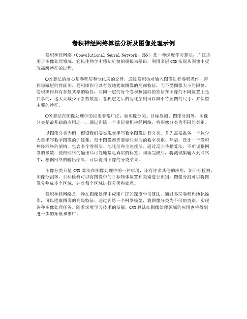 卷积神经网络算法分析及图像处理示例