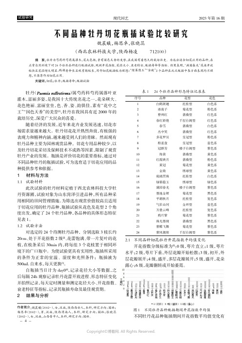 不同品种牡丹切花瓶插试验比较研究