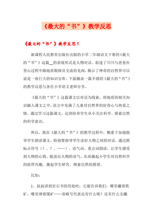 《最大的“书”》教学反思