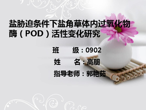 盐角草在盐胁迫条件下的POD活性变化