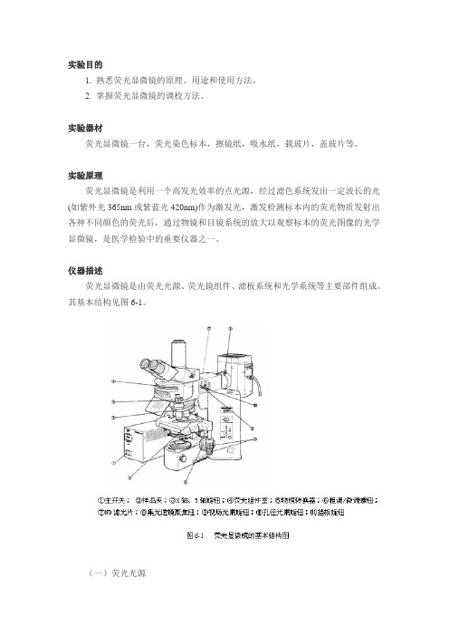 试验目的1熟悉荧光显微镜的原理用途和使用方法2掌握荧光