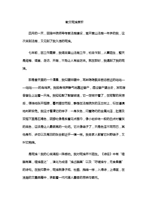 散文斑鸠赏析