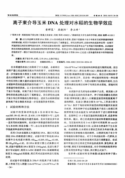 离子束介导玉米DNA处理对水稻的生物学效应