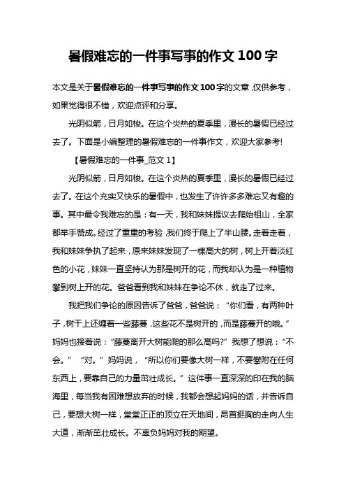 暑假难忘的一件事写事的作文100字