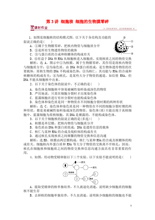 最新高中生物第三章细胞的结构和功能第二节细胞的类型和结构第3讲细胞核细胞的生物膜零碎课时作业苏教版必