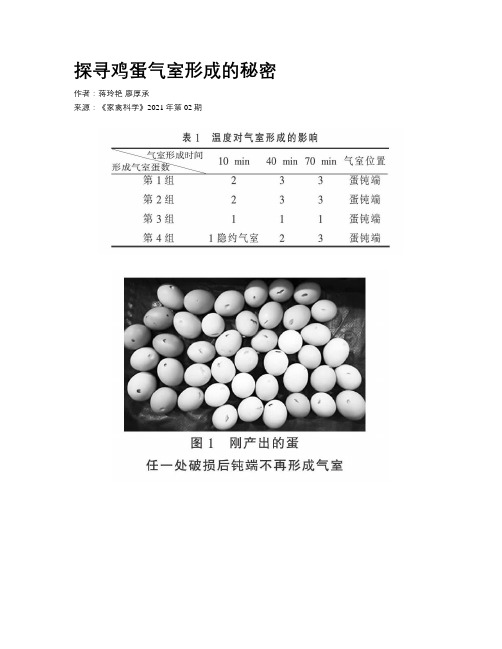 探寻鸡蛋气室形成的秘密