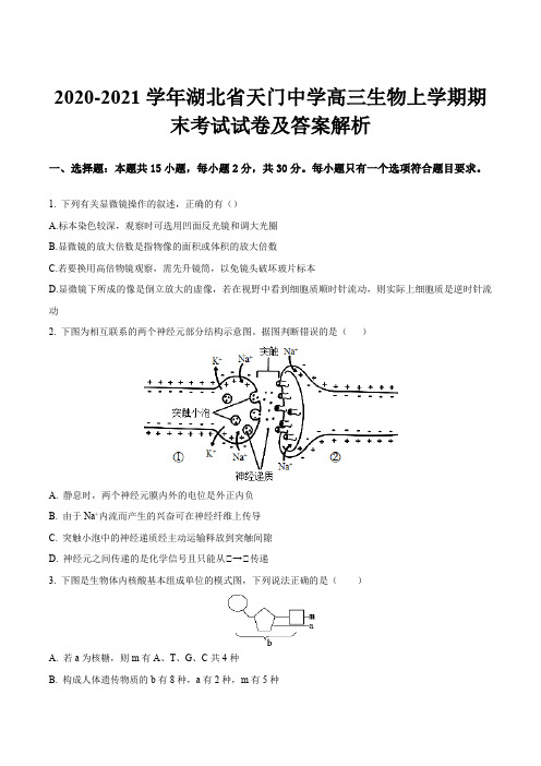 2020-2021学年湖北省天门中学高三生物上学期期末考试试卷及答案解析