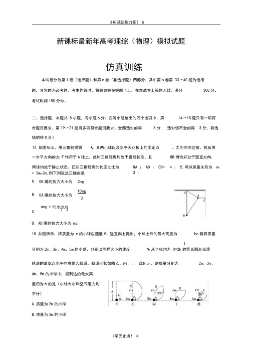 2020-2021学年高考理综(物理)考前仿真模拟试题及答案解析