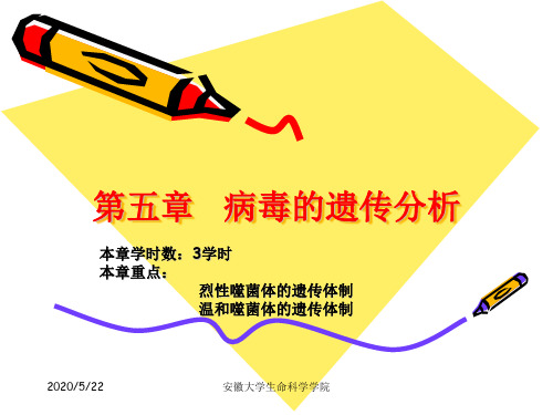 211工程安徽大学生命科学学院病毒的遗传分析 (1)