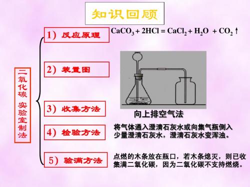 二氧化碳与一氧化碳