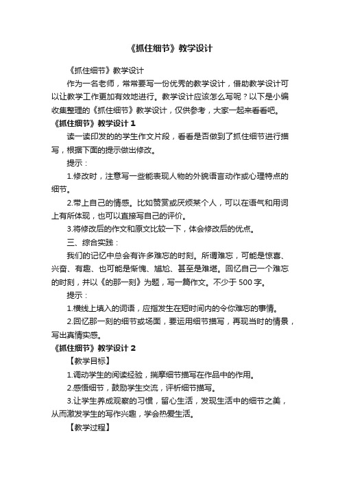 《抓住细节》教学设计