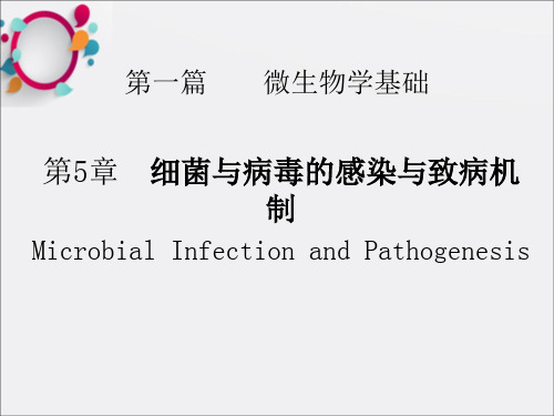 微生物学第5章细菌与病毒的感染与致病机制