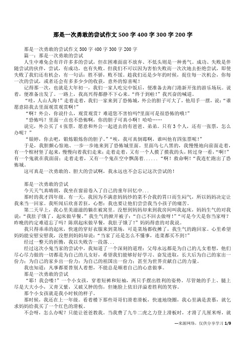 那是一次勇敢的尝试作文500字400字300字200字