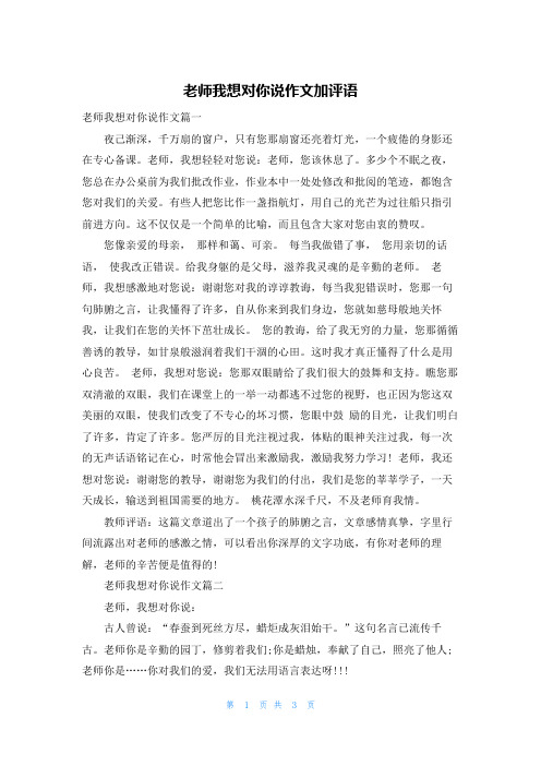 老师我想对你说作文加评语