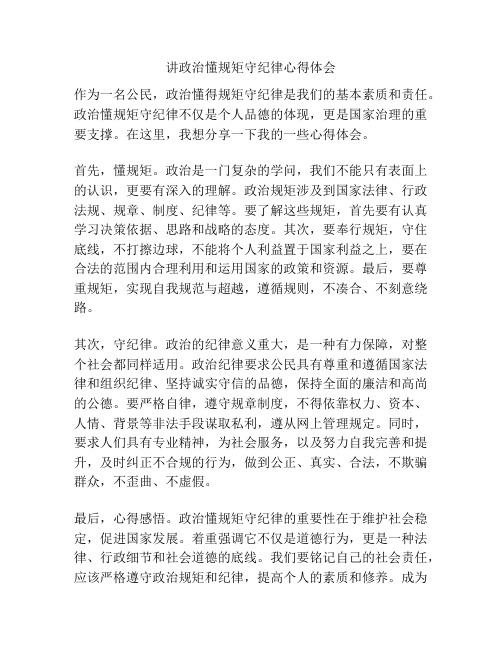 讲政治懂规矩守纪律心得体会