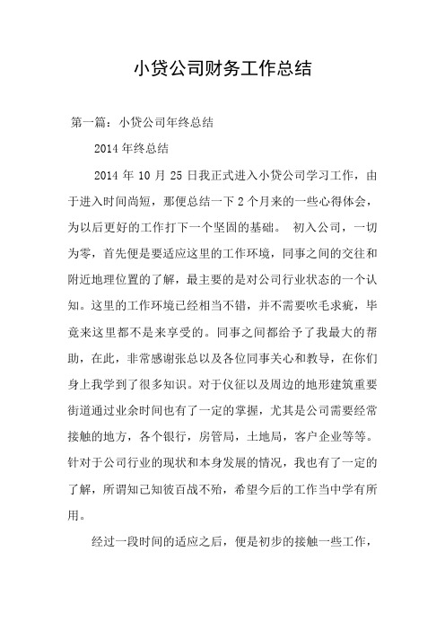 小贷公司财务工作总结