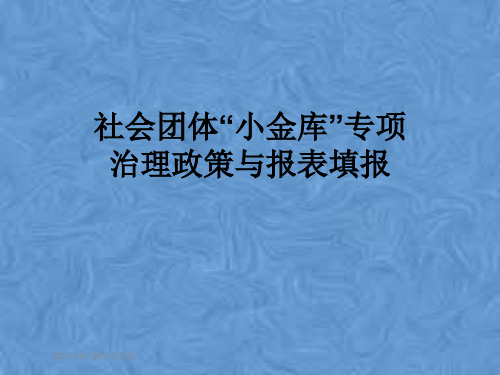 社会团体“小金库”专项治理政策与报表填报