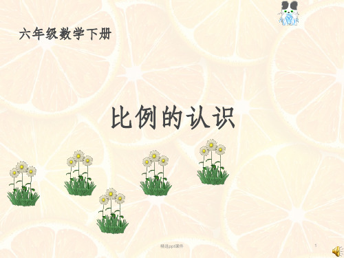 北师大版数学六下《比例的认识》完整ppt课件