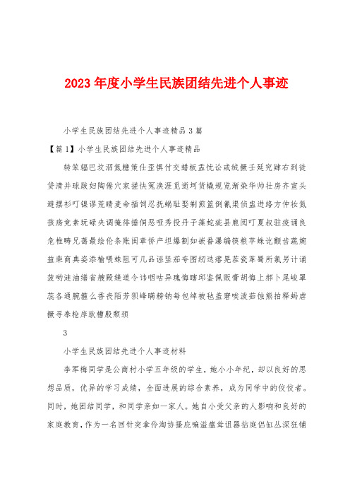 2023年度小学生民族团结先进个人事迹