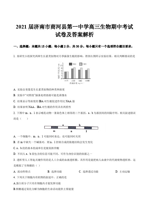 2021届济南市商河县第一中学高三生物期中考试试卷及答案解析