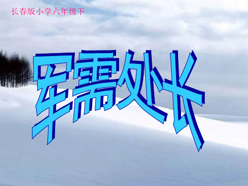 六年级语文下册优秀课件-7.1《军需处长》长春版 (共34张PPT)