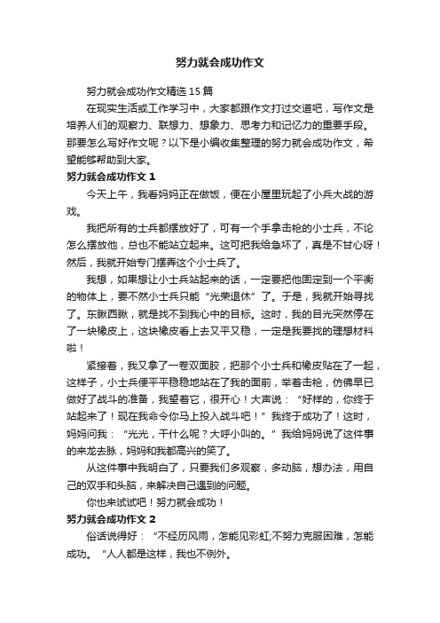 努力就会成功作文精选15篇