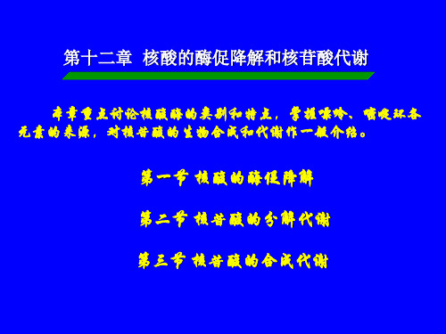 第十二章核酸的酶