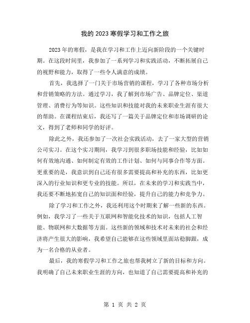 我的2023寒假学习和工作之旅