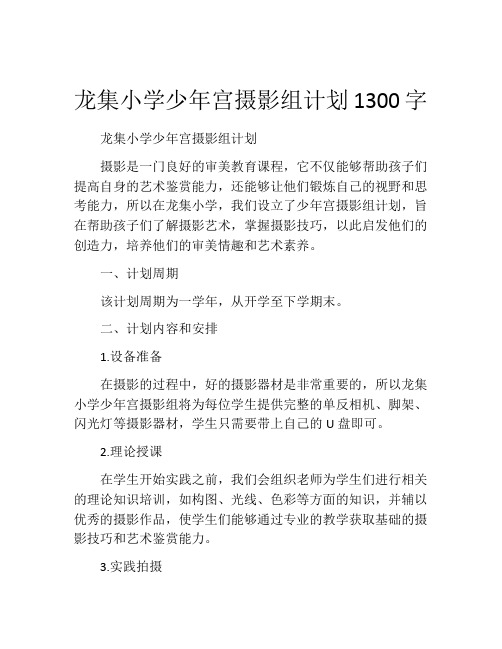 龙集小学少年宫摄影组计划1300字 (2)