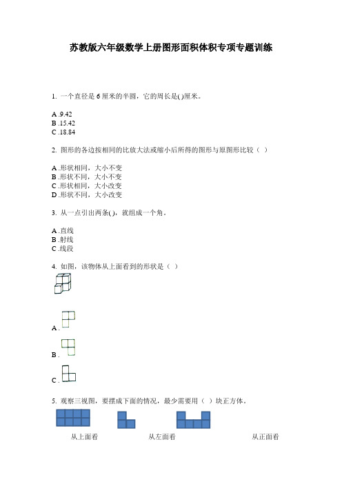 苏教版六年级数学上册图形面积体积专项专题训练