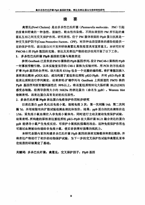 禽多杀性巴氏杆菌PlpB基因克隆、表达及表达蛋白生物学特性研究