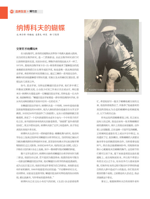 纳博科夫的蝴蝶