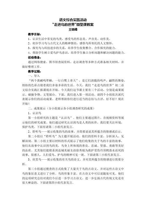 鸟专题综合实践教案