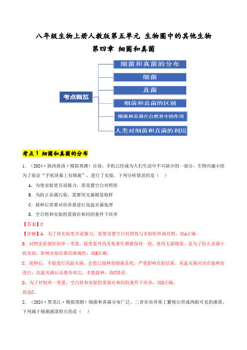 八年级生物上册人教版第五单元第四章 细菌和真菌单元考点卷(解析版)